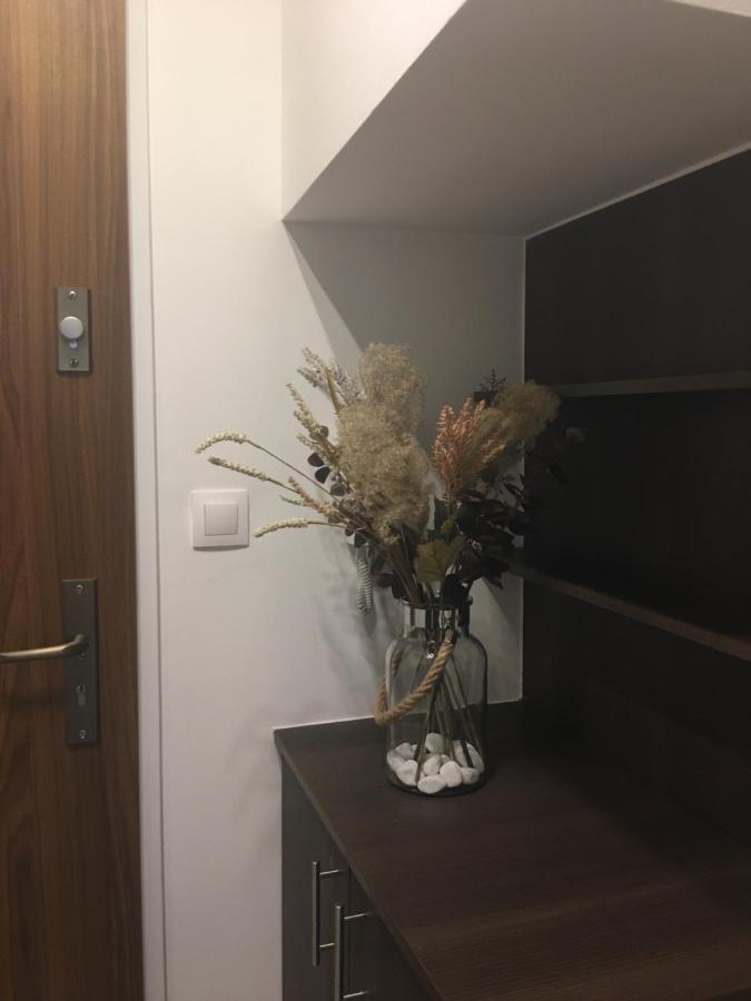 Home Apartment Шопрон Экстерьер фото